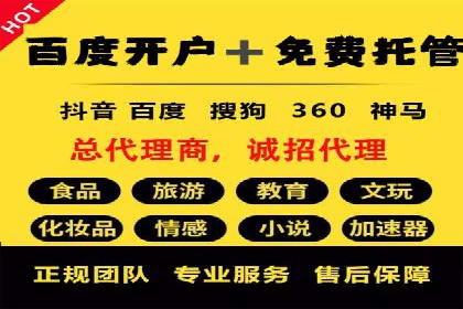 SEM托管服务案例：实现精准营销与客户转化